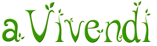 aVivendi Website Logo